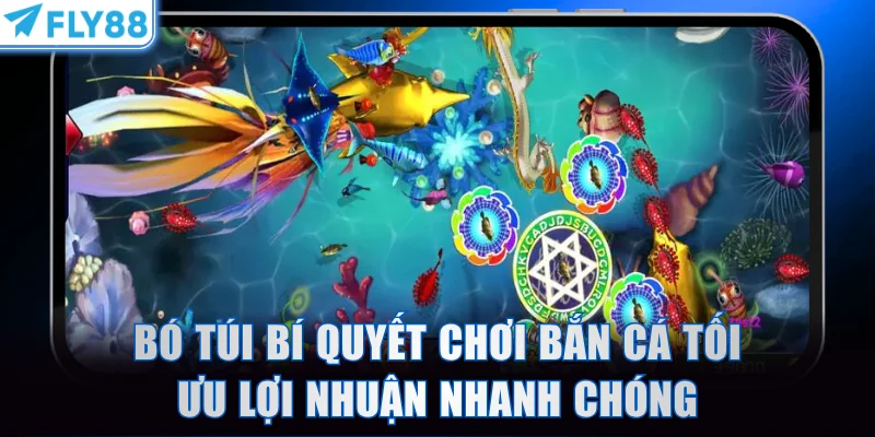 Bó túi bí quyết chơi bắn cá tối ưu lợi nhuận nhanh chóng