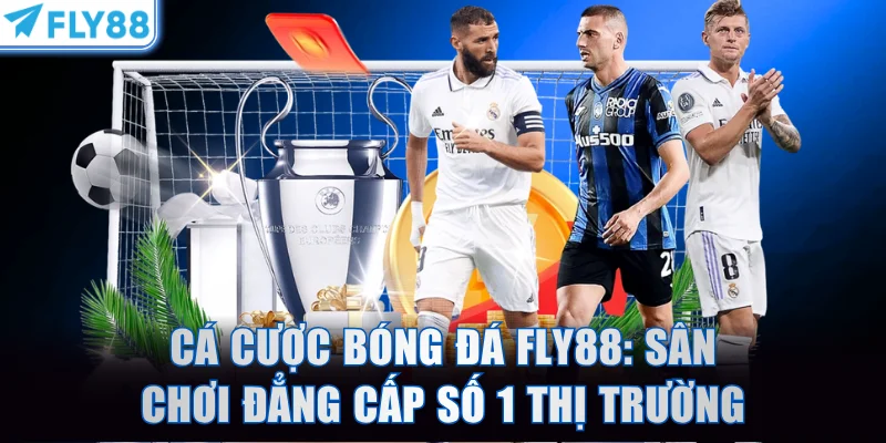 Cá cược bóng đá FLY88