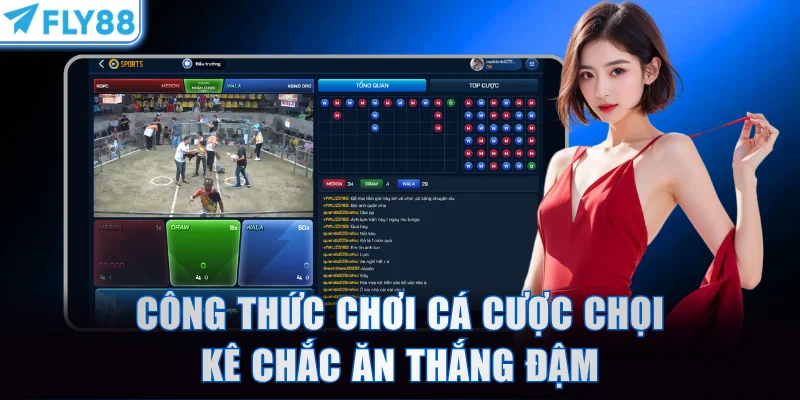 Công thức chơi cá cược chọi kê chắc ăn thắng đậm