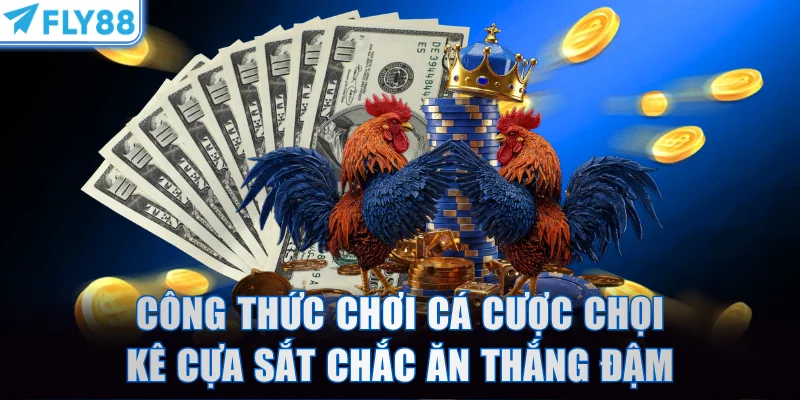 Công thức chơi cá cược chọi kê cựa sắt chắc ăn thắng đậm