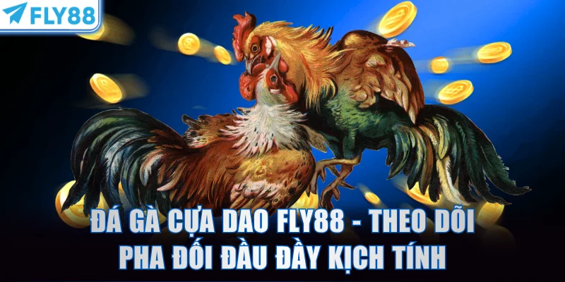 Đá gà cựa dao FLY88