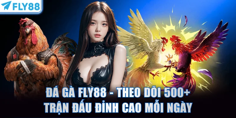 Đá Gà FLY88 - Theo Dõi 500+ Trận Đấu Đỉnh Cao Mỗi Ngày