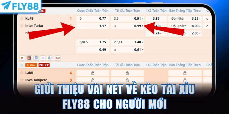 Giới thiệu vài nét về kèo tài xỉu FLY88 cho người mới