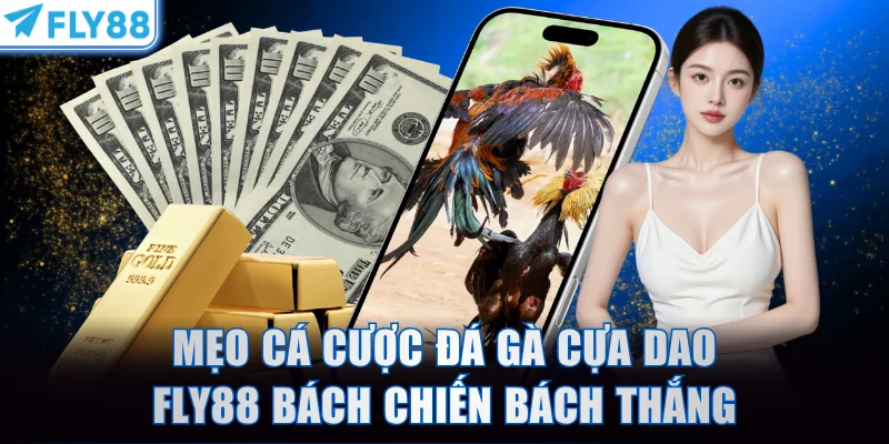 Mẹo chơi cá cược đá gà cựa dao FLY88 bách chiến bách thắng
