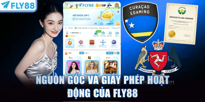 Nguồn gốc và giấy phép hoạt động của FLY88
