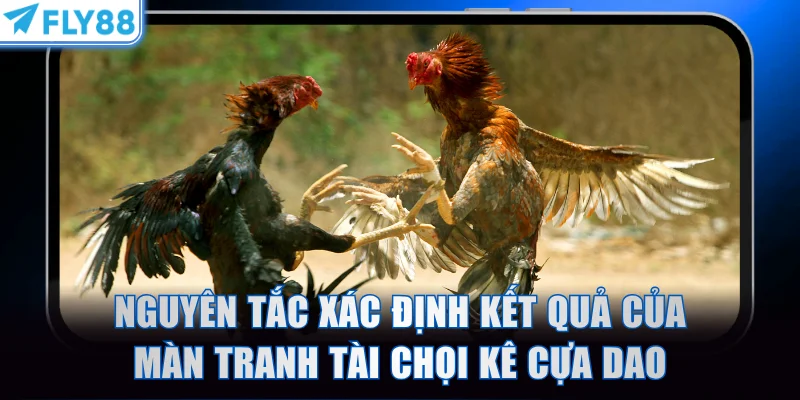 Nguyên tắc xác định kết quả của màn tranh tài chọi kê cựa dao