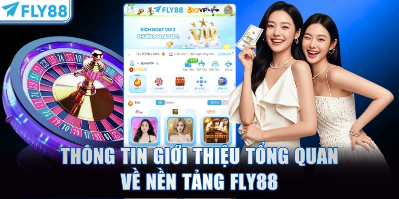Thông tin giới thiệu tổng quan về nền tảng FLY88
