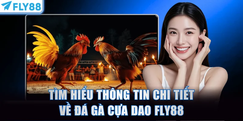 Tìm hiểu thông tin chi tiết về đá gà cựa dao FLY88