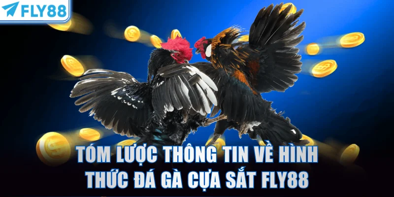 Tóm lược thông tin về hình thức đá gà cựa sắt FLY88