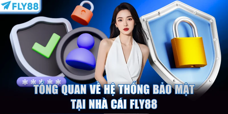 Tổng quan về hệ thống bảo mật FLY88