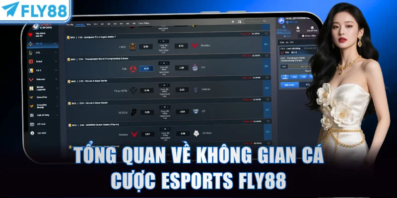 Tổng quan về không gian cá cược Esports FLY88